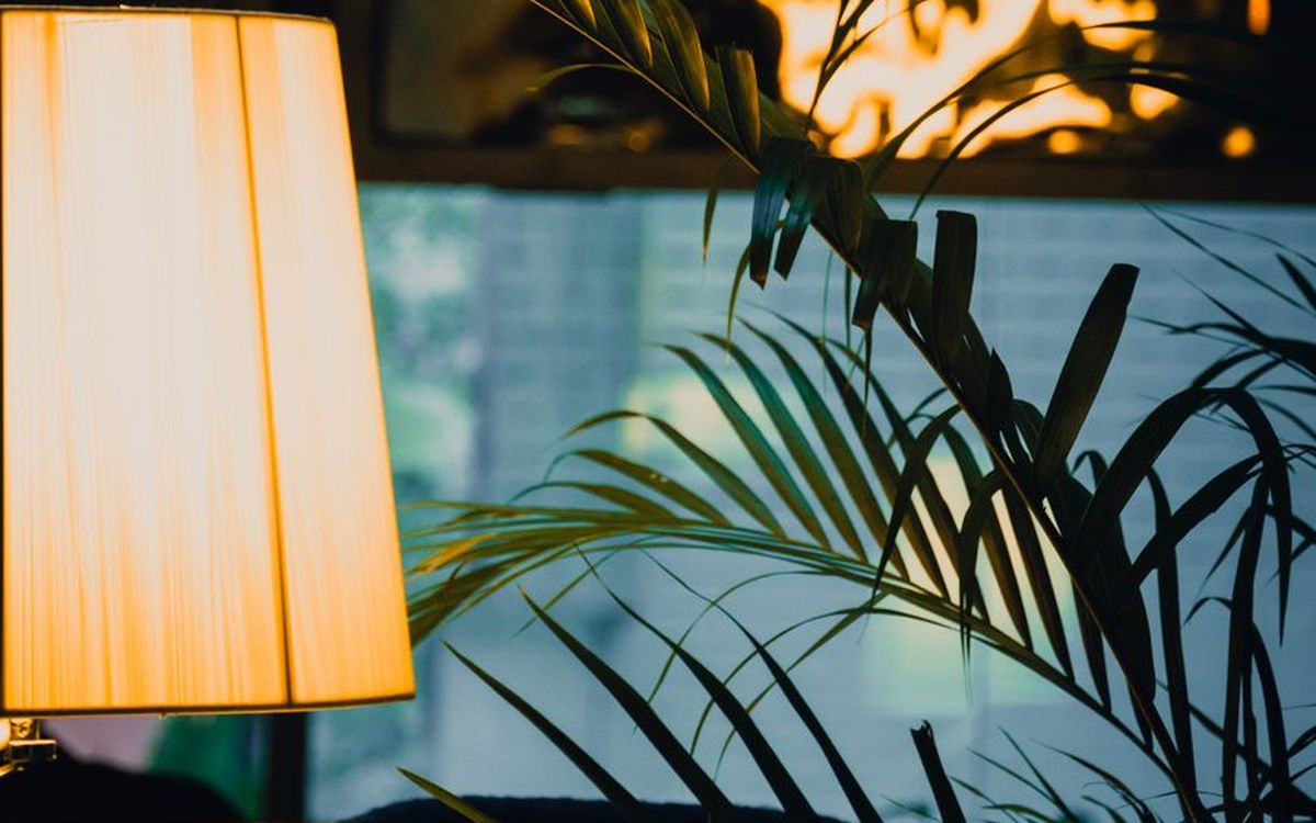 Einladendes Wohnzimmer mit sanftem Lampenlicht und üppigen Pflanzen, perfekt für einen entspannten Abend.